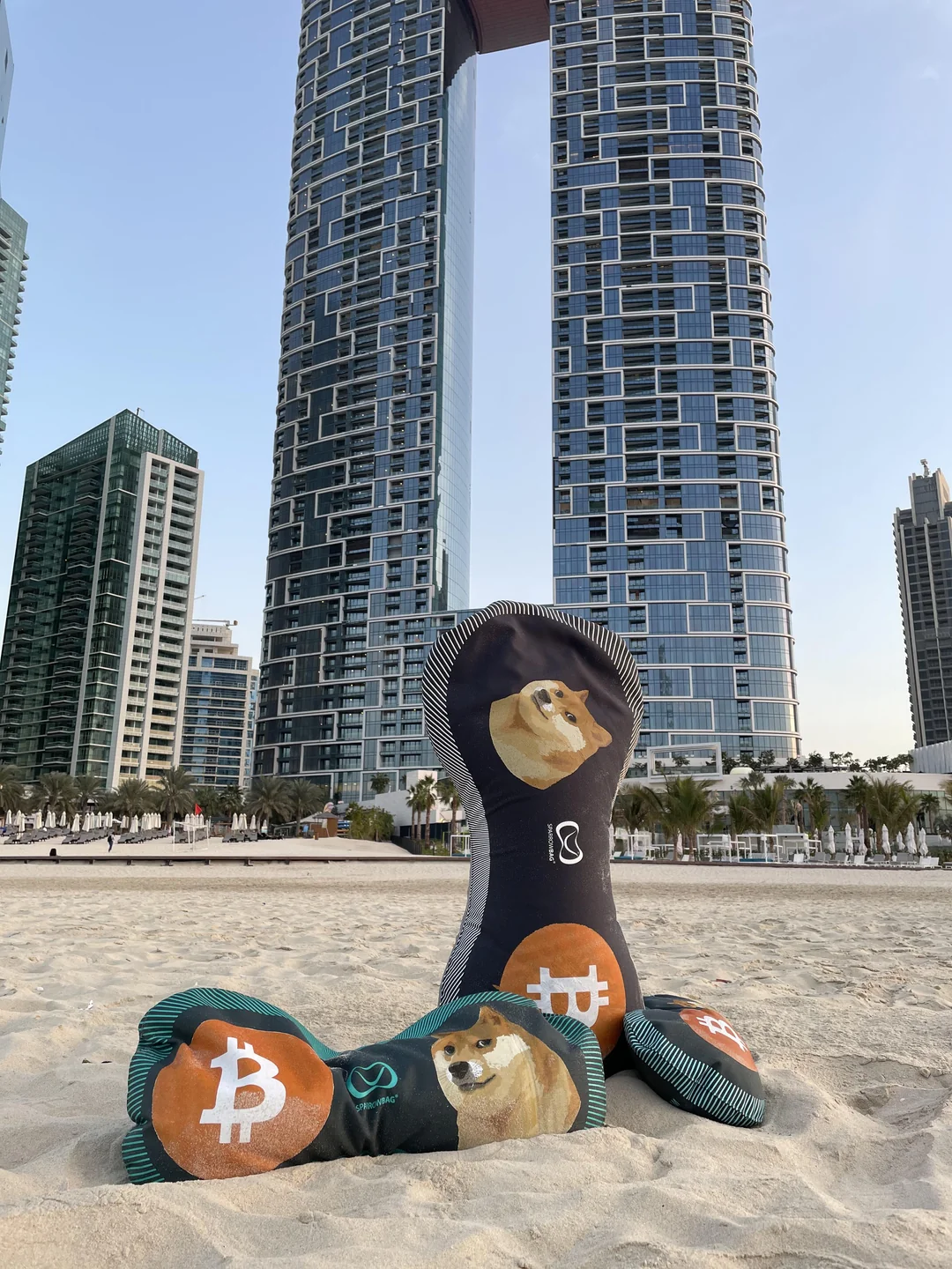 HODLbag